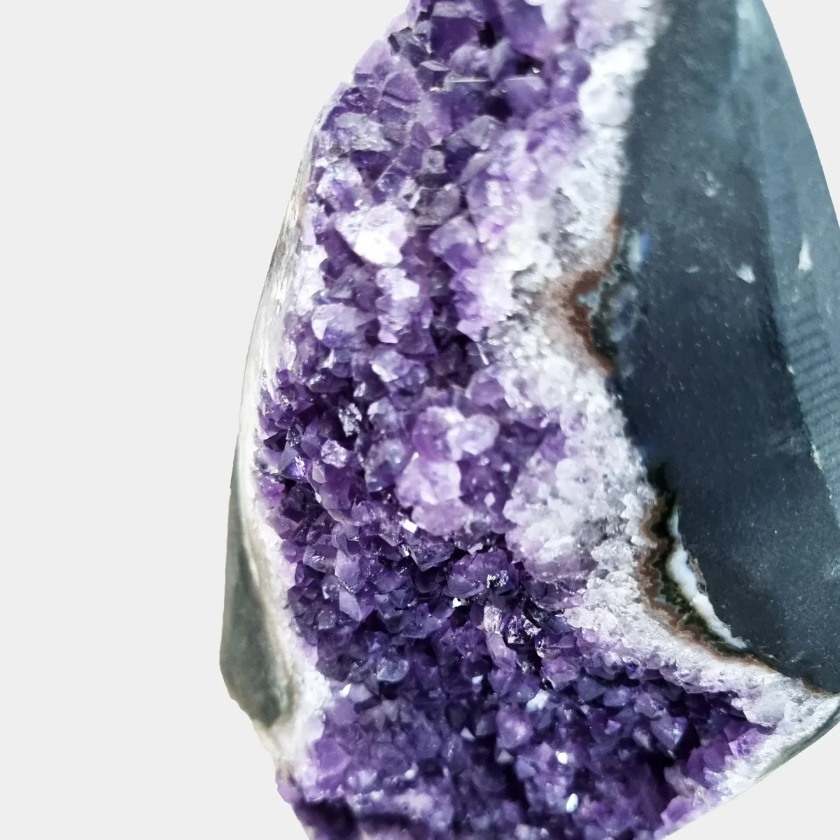 Povečan pogled razkriva živahne vijolične kristale ametista z naravnim sijajem in belimi kremenovimi robovi.