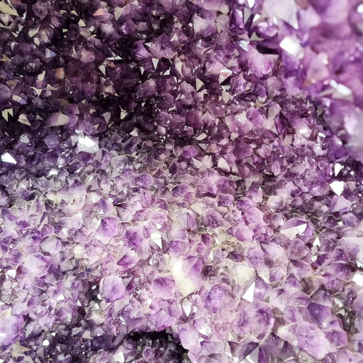 Makro posnetek kristalnega polja z izrazito vijolično globino in naravnim leskom ametistovih konic.