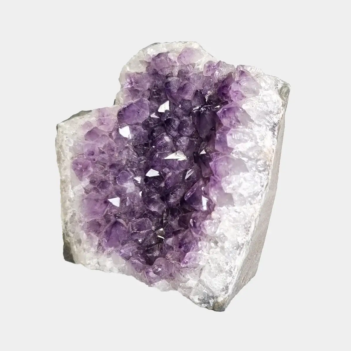 Angled view of a small amethyst geode with purple crystals set inside a pale quartz formation.